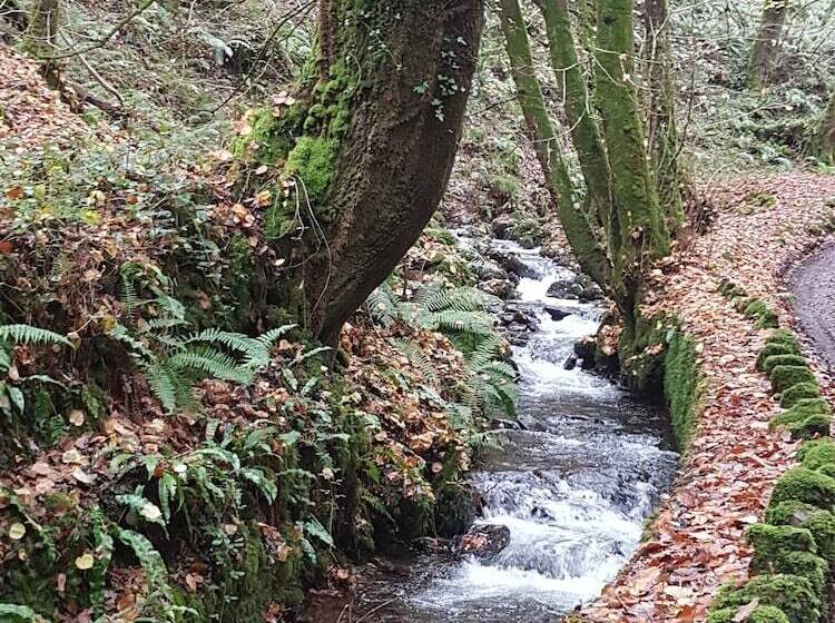 Whortleberry Studio B & B