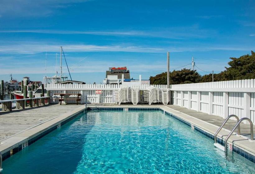 旅馆 The Anchorage Inn And Marina