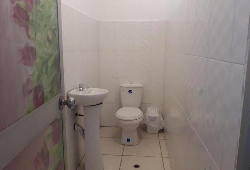 هاستل Hospedaje Alexito