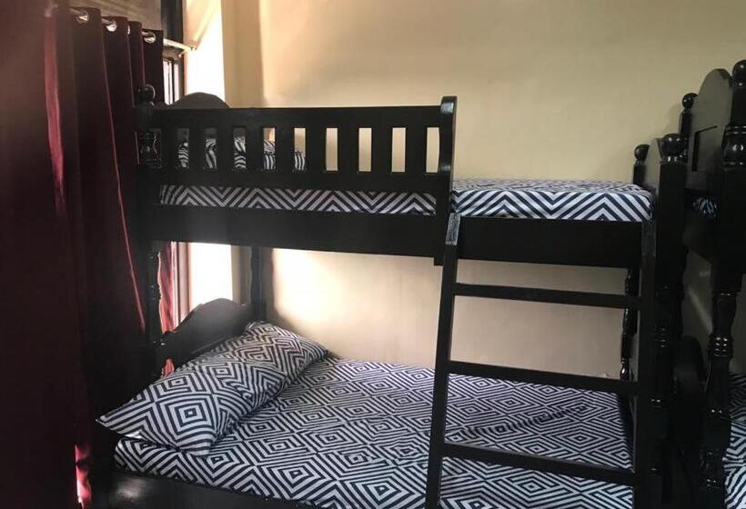 هاستل Rv3 Transient House