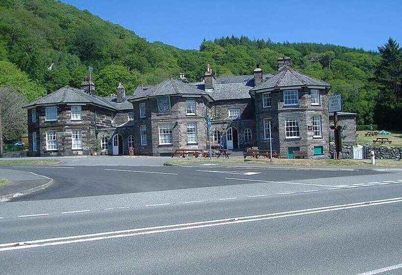 Общежитие The Oakeley Arms