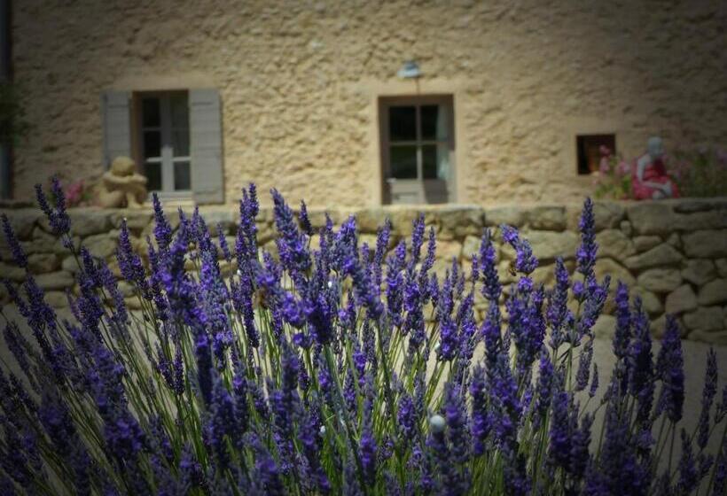 مبيت وإفطار Mas De Longuefeuille