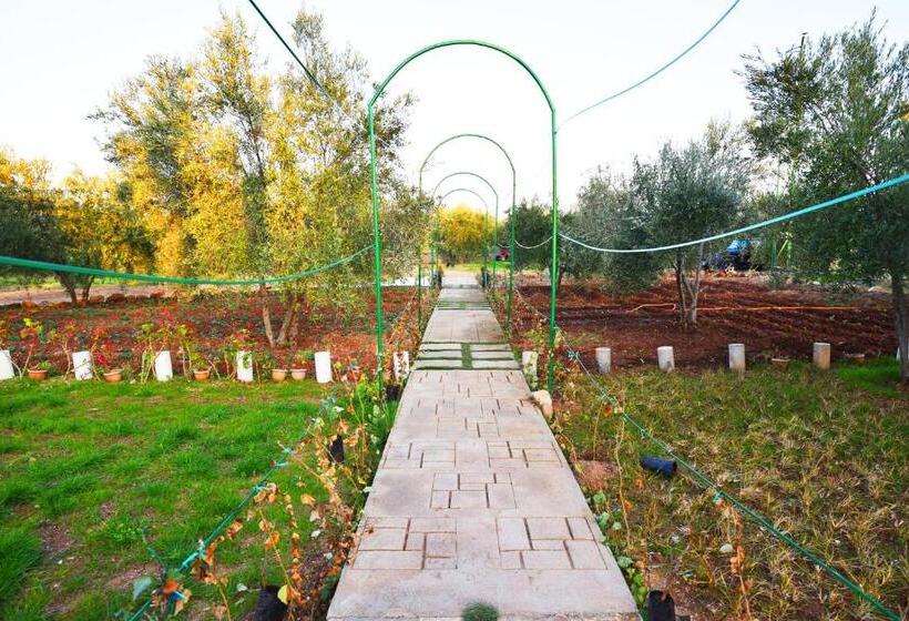 هتل Maison D Hôtes La Ferme Aziza