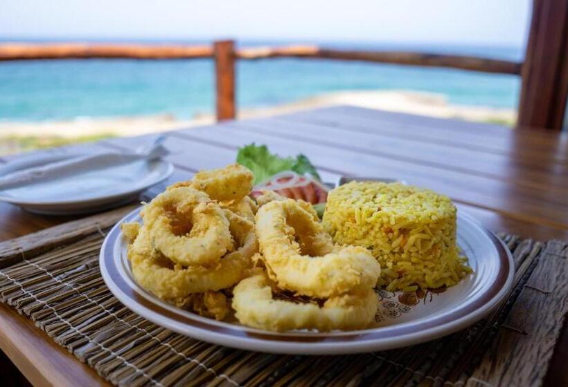 بنسيون C Mew Guest House