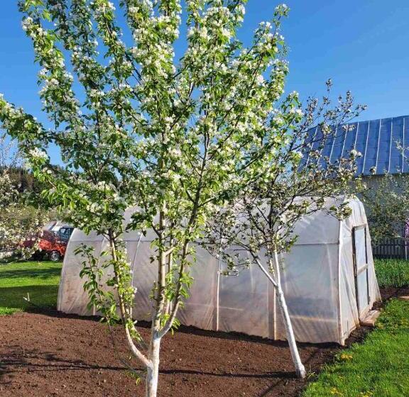 پانسیون Deluxe Studio & Rooms Zarubica