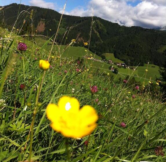 پانسیون Götschlhof