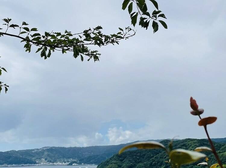 بنسيون Hostel And Cafe Izu No Umi