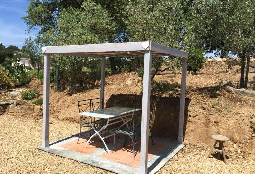 بنسيون La Maison Des Oliviers