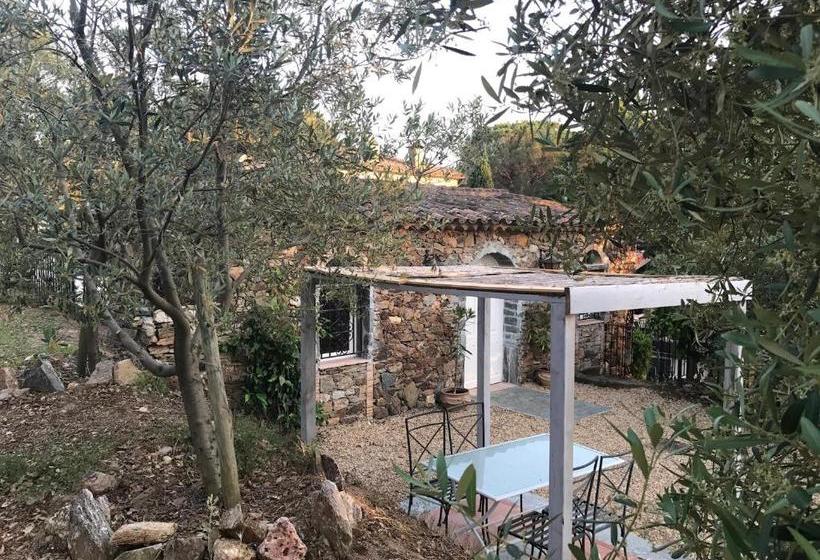 بنسيون La Maison Des Oliviers