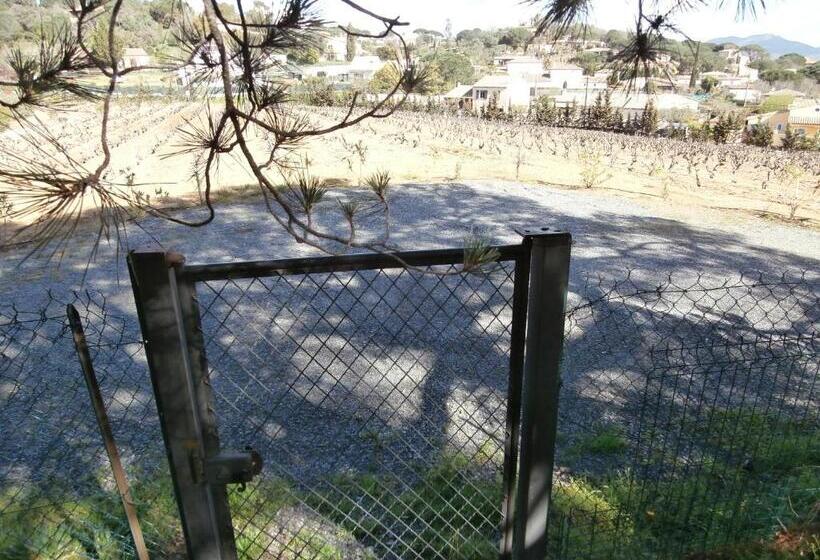 بنسيون La Maison Des Oliviers