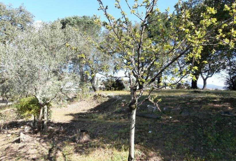 بنسيون La Maison Des Oliviers