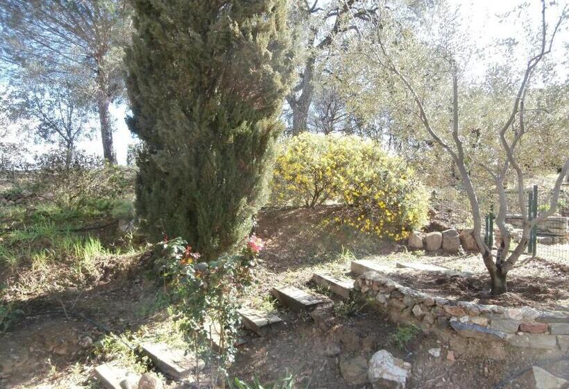 بنسيون La Maison Des Oliviers