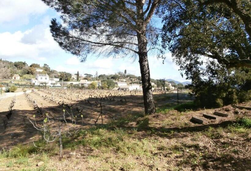 بنسيون La Maison Des Oliviers