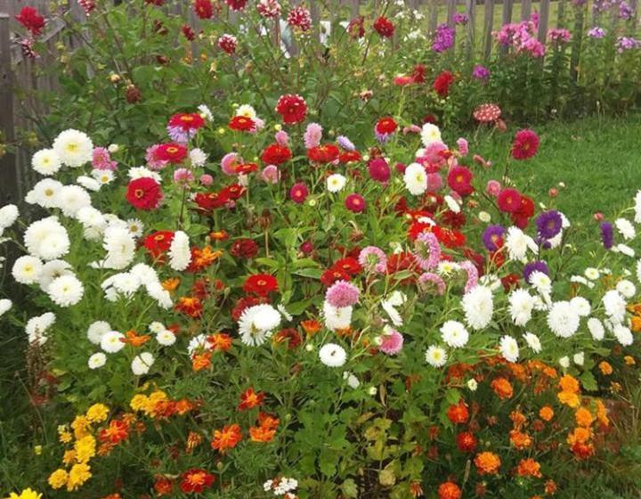 پانسیون Deluxe Studio & Rooms Zarubica