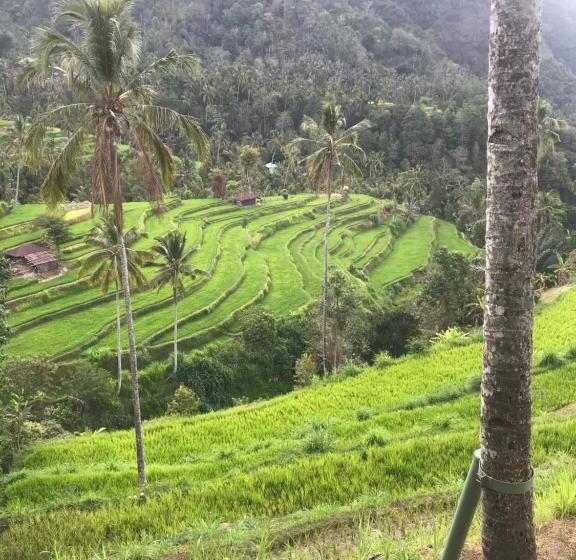 פנסיון Sugi Gede Homestay