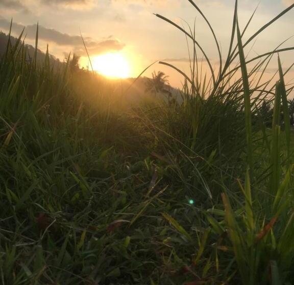 פנסיון Sugi Gede Homestay