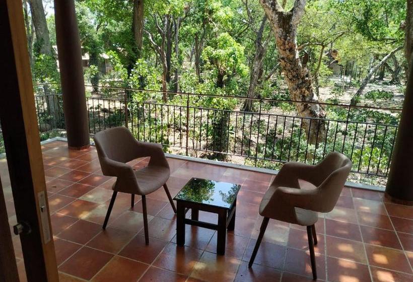 渡假胜地  The Birchwood Retreat, Madikeri
