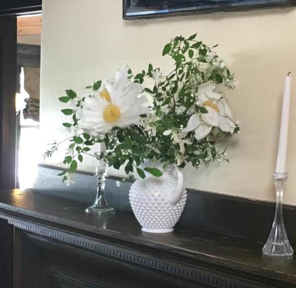 הוסטל Barncastle