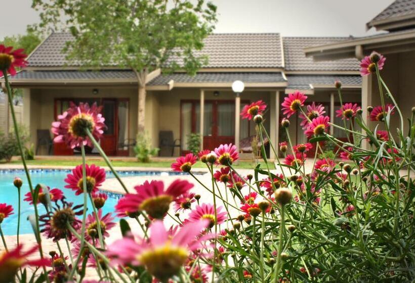 ホテル Mondior Manor Guest House