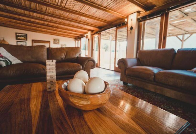 فندق Oudebosch Guest Farm