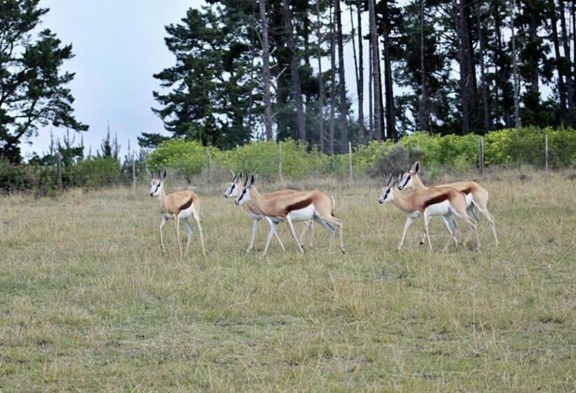 فندق Oudebosch Guest Farm