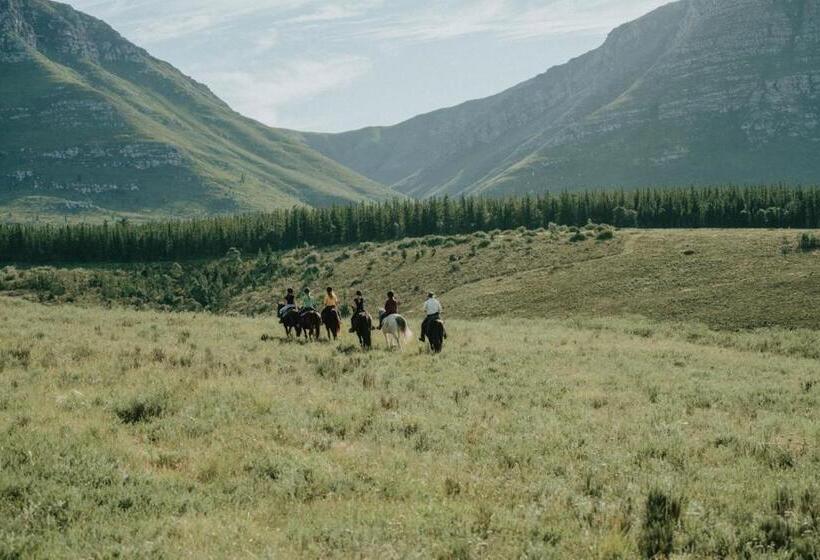 فندق Oudebosch Guest Farm