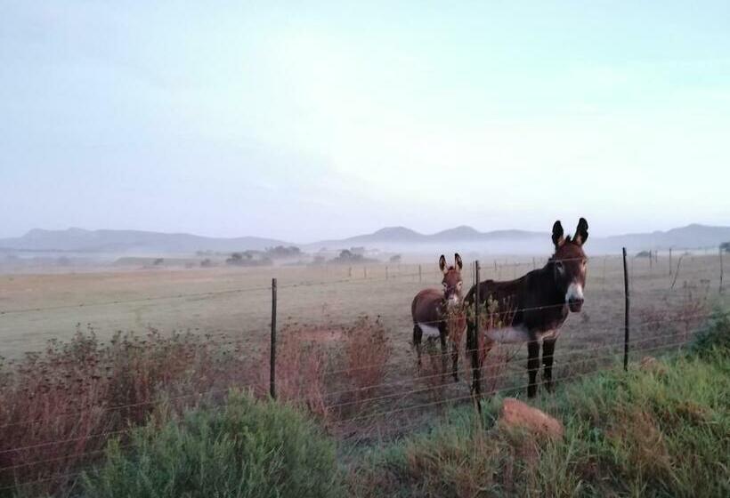 فندق Rusthof Accommodation