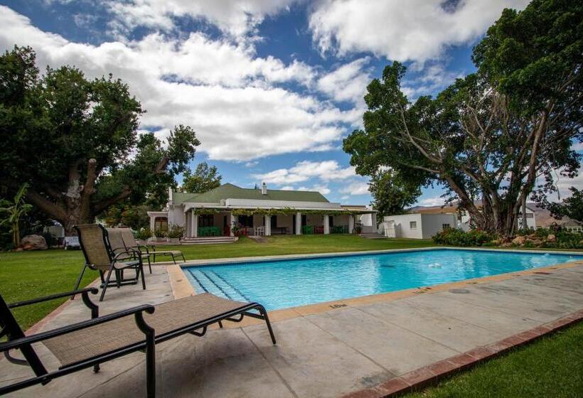 Пансион Green Olive Guesthouse