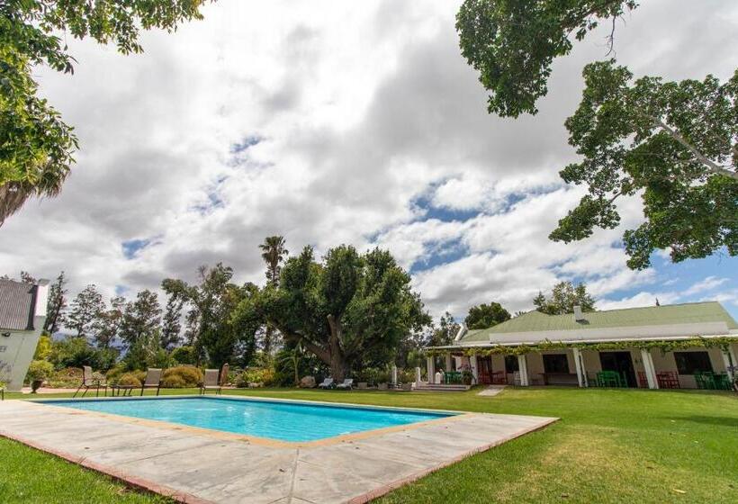 بنسيون Green Olive Guesthouse