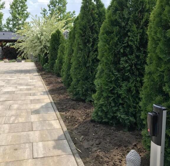 פנסיון Győri Vendégház