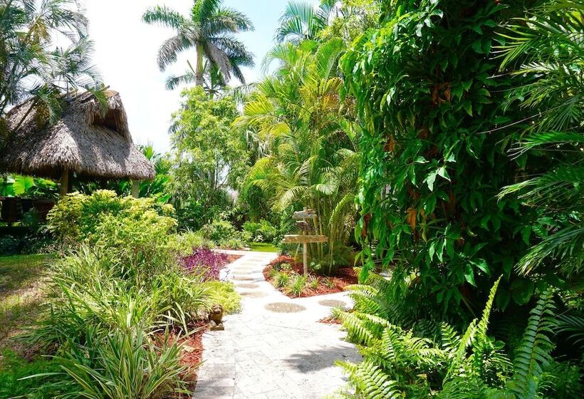 Riverside Apartments By The Beach