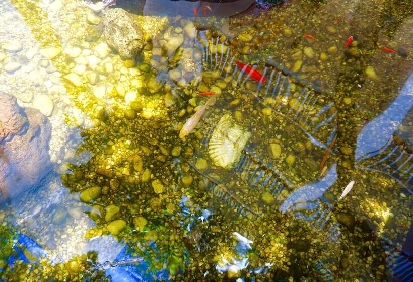 Riverside Apartments By The Beach