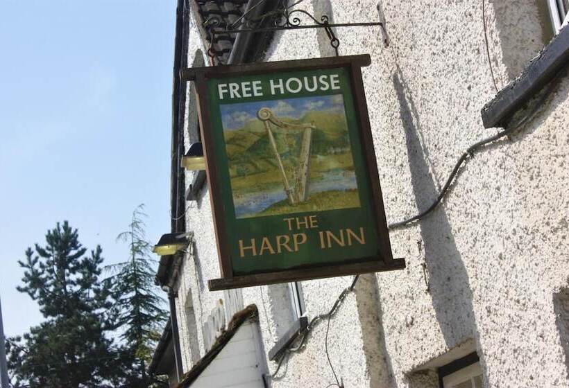 הוסטל The Harp Inn