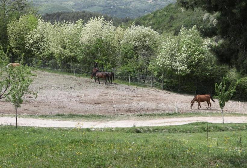 酒店 Agriturismo San Martino