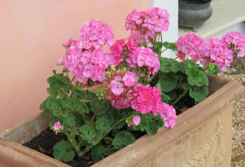 호텔 Agriturismo San Martino