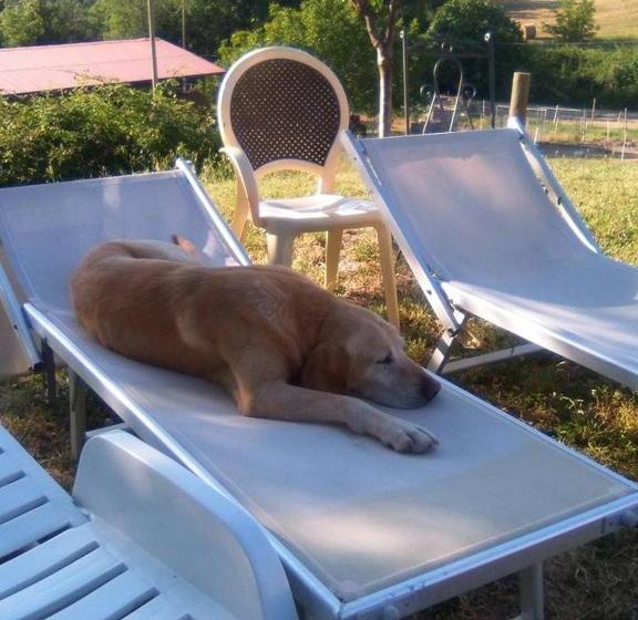 호텔 Agriturismo San Martino