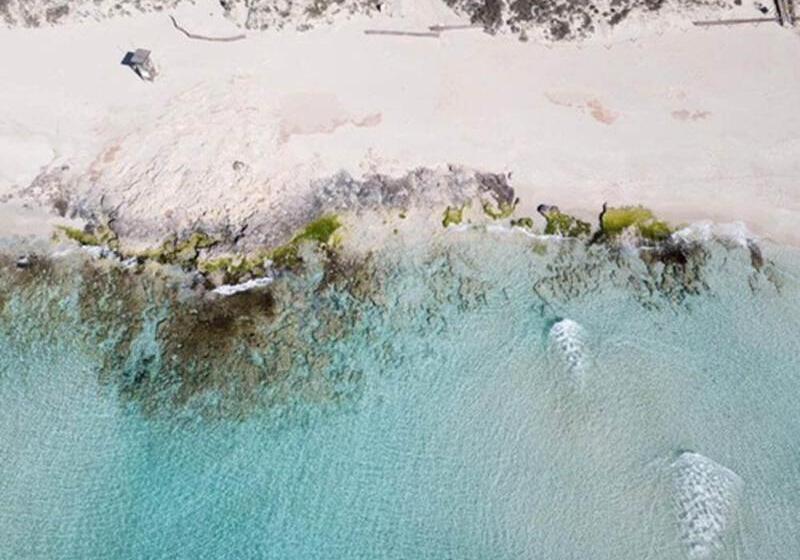 هتل Sa Pedrera Suites & Spa