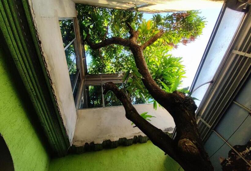 膳宿费 Nirvana Casa De Huéspedes