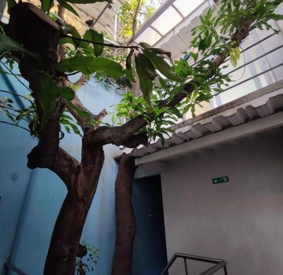 پانسیون Nirvana Casa De Huéspedes