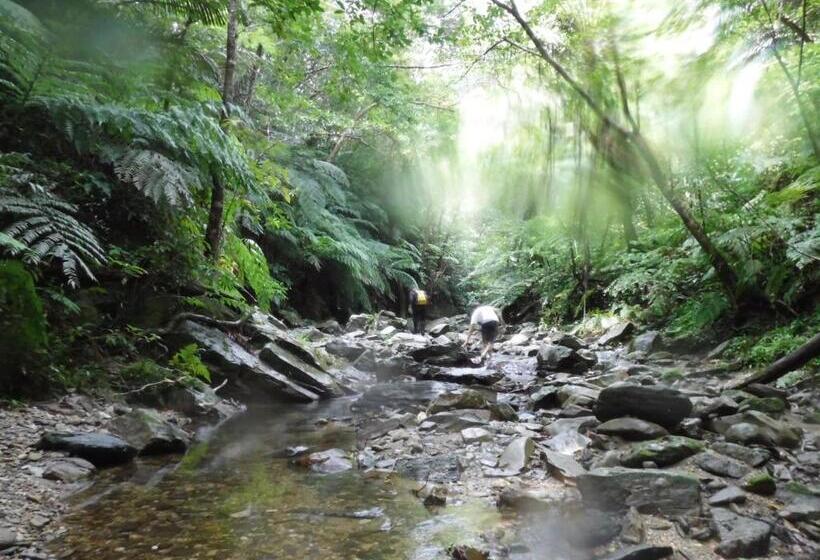 بنسيون Okinawa Hostel Yanbaru Fukuro