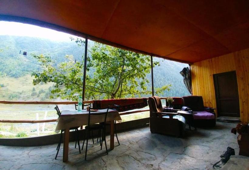 پانسیون Pirikiti