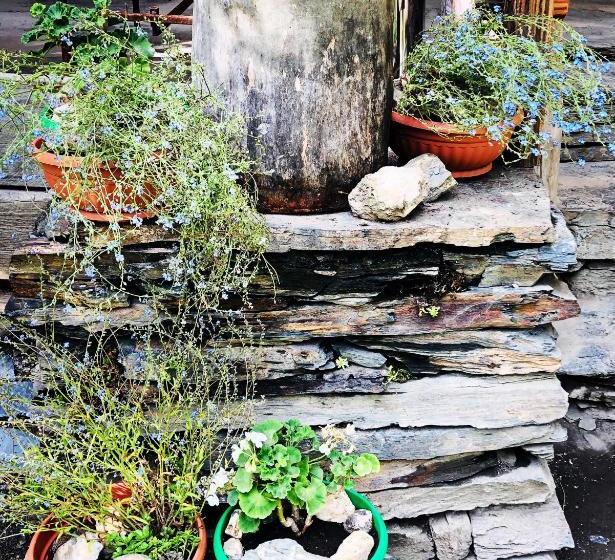 پانسیون Pirikiti