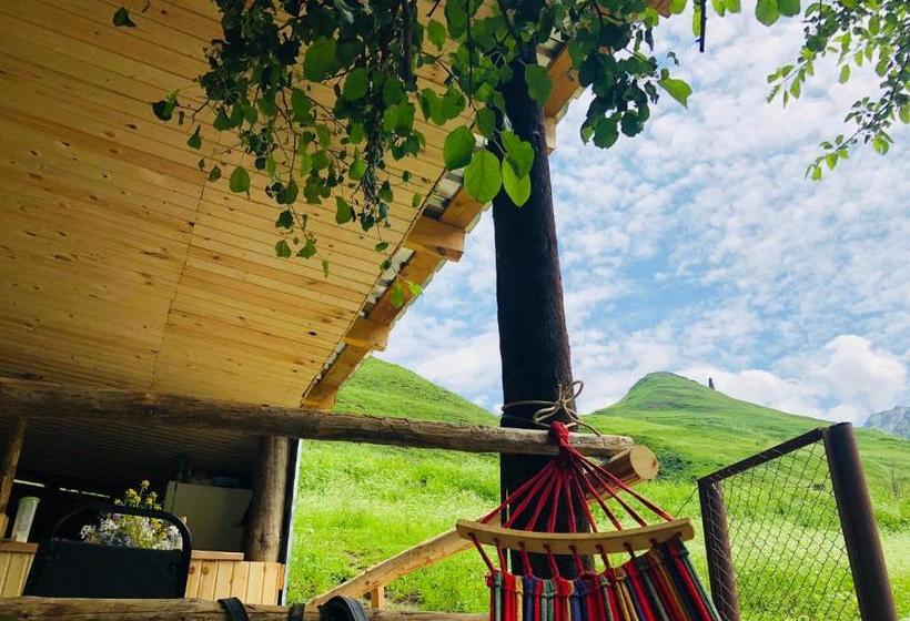 پانسیون Pirikiti