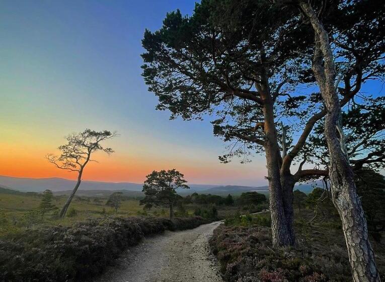 펜션 Ravenscraig Guest House