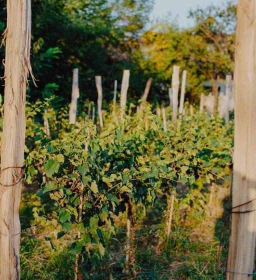 پانسیون Telavi Tel Aviv