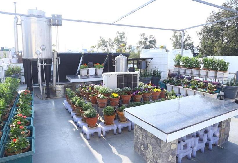 צימר Joerose Villa