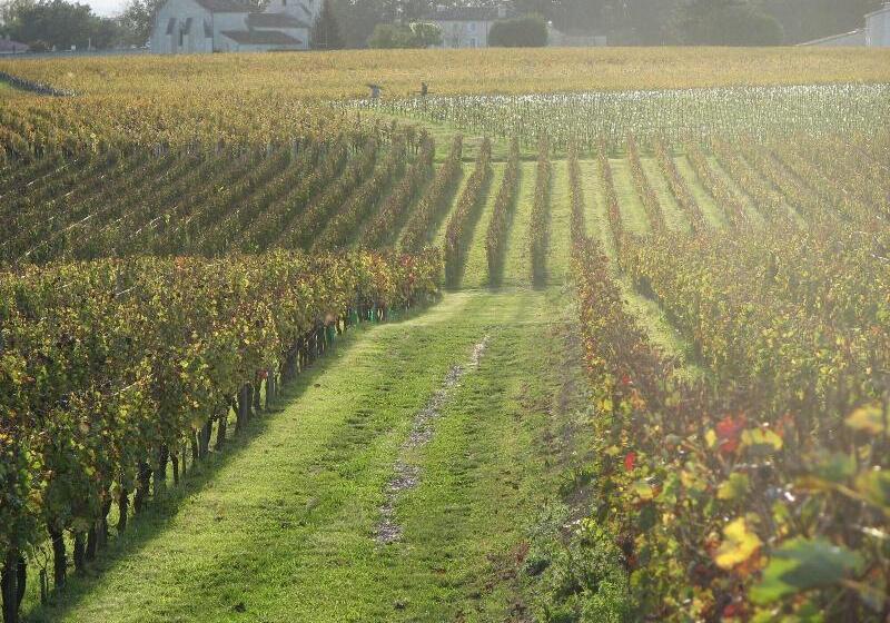 פנסיון La Villa Du Chateau Belloy