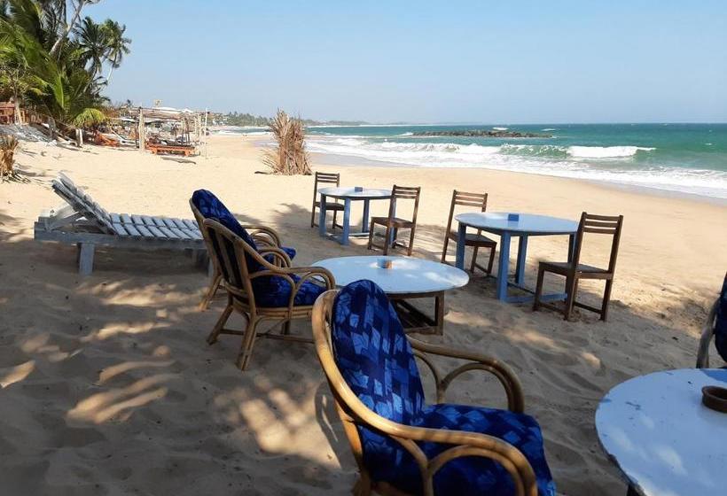 بنسيون Tango Reef