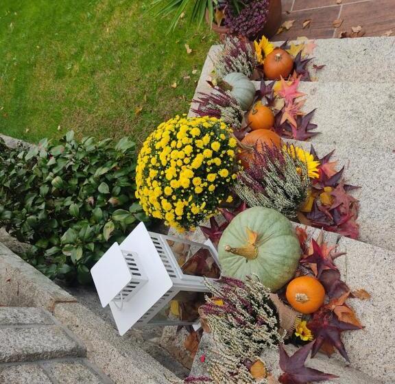 호스텔 Posada Rural La Flor