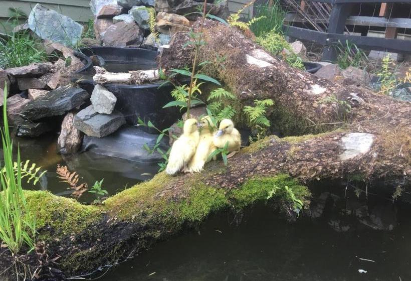 مبيت وإفطار Taylor Creek Lodge